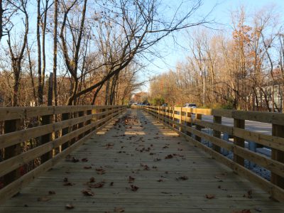 Fall Creek Road Trail 3